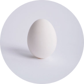 egg-timeline-logo